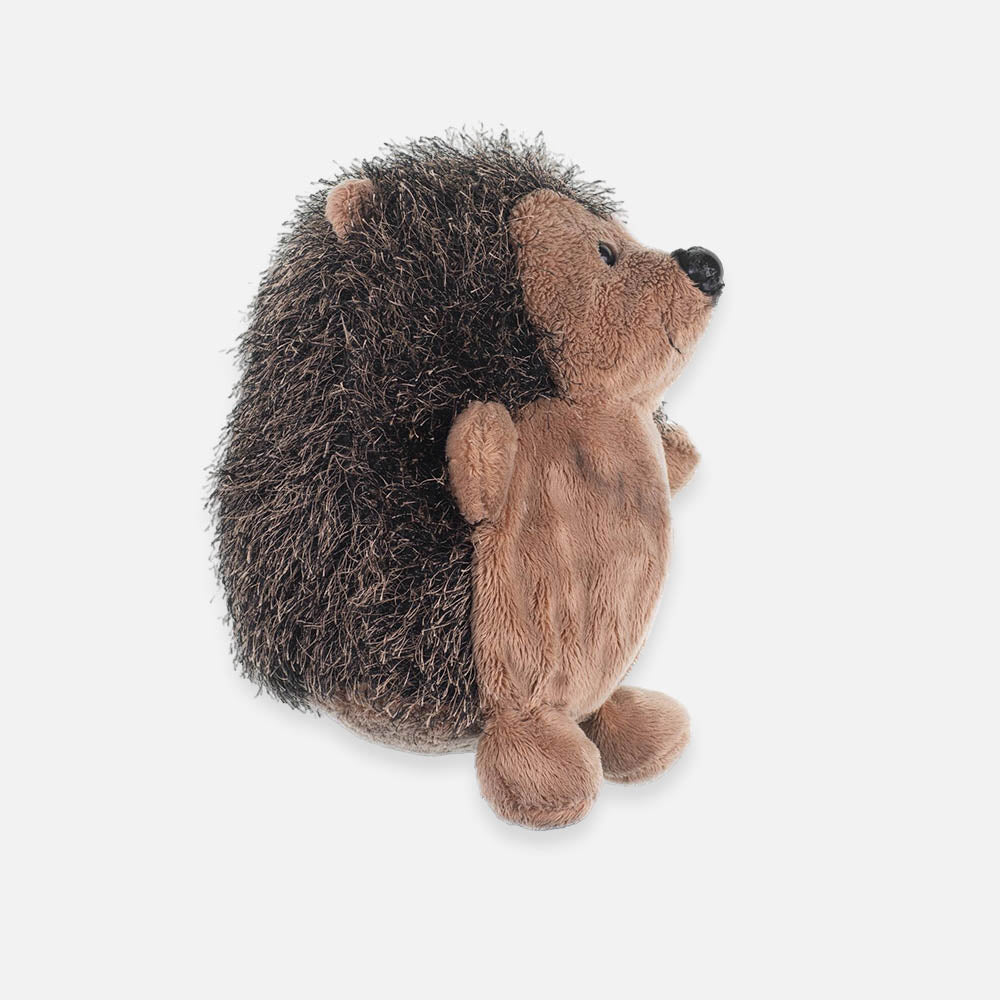 Cute Brown Bear